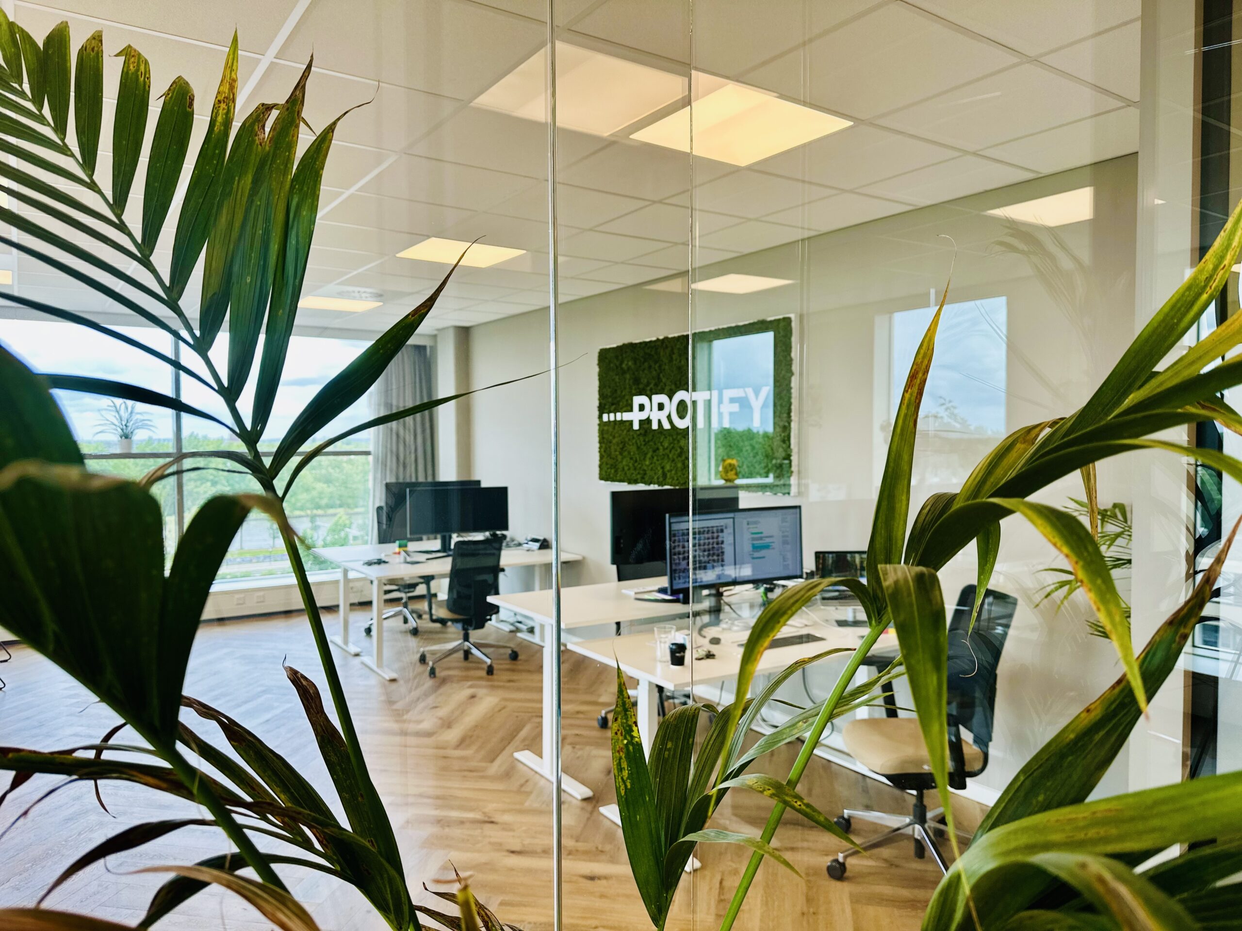 Protify_Office